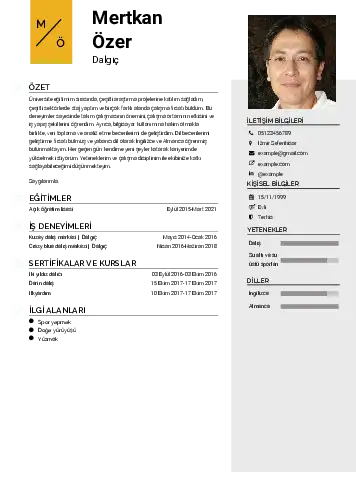 Dalgıç CV Örnekleri cv indir